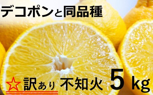 dp002　【訳あり】岡村農園の不知火【５ｋｇ】 15～23玉 完熟 貯蔵 柑橘 果物 人気