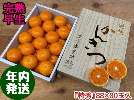 年内発送 完熟早生 有田みかん 化粧小箱 特秀 小玉 SS サイズ 30玉入 和歌山 南泰園