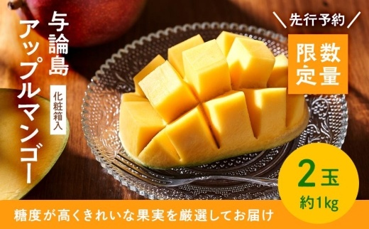 【数量限定】鹿児島 与論島アップルマンゴー特A秀品約１kg 2玉化粧箱入り【先行予約】