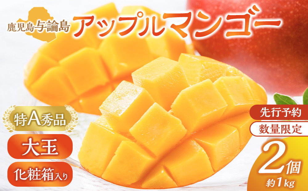 【数量限定】鹿児島&nbsp;与論島アップルマンゴー特A秀品大玉２個約１キロ&nbsp;化粧箱入り【先行予約】
