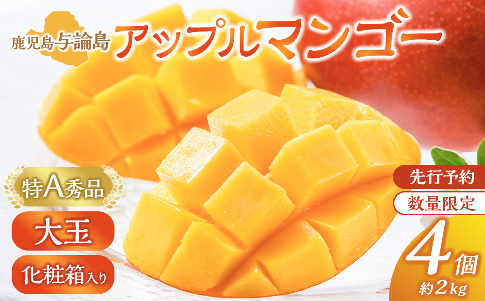 【数量限定】鹿児島&nbsp;与論島アップルマンゴー特A秀品大玉４個約2kg化粧箱入り【先行予約】