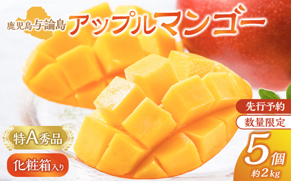 【数量限定】鹿児島&nbsp;与論島アップルマンゴー特A秀品５個約2kg&nbsp;化粧箱入り【先行予約】