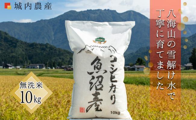 令和５年度 南魚沼産コシヒカリ 無洗米１０ｋｇ 【５割減農薬栽培米】 城内農産