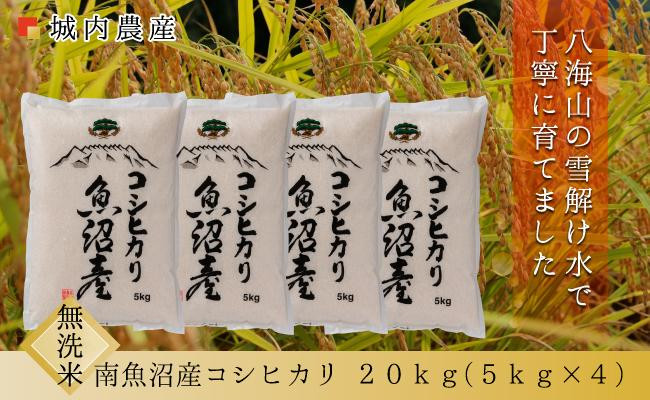 【令和８年産新米予約】南魚沼産コシヒカリ&nbsp;無洗米２０ｋｇ【５割減農薬栽培米】城内農産&nbsp;【銘柄米&nbsp;ブランド米&nbsp;無洗米&nbsp;こしひかり&nbsp;コシヒカリ&nbsp;魚沼産&nbsp;新潟米&nbsp;産地直送&nbsp;お米&nbsp;米&nbsp;こめ&nbsp;コメ】【2026年9月下旬から1ヶ月以内に順次発送予定】
