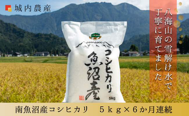 【令和７年&nbsp;産】【お米定期便/全６回】南魚沼産コシヒカリ　白米５ｋｇ＜５割減農薬栽培米＞&nbsp;城内農産