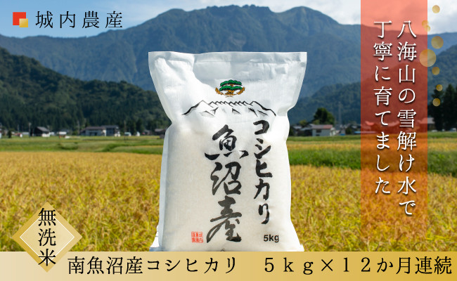 【令和８年産新米予約】【お米定期便/全１２回】南魚沼産コシヒカリ　無洗米５ｋｇ＜５割減農薬栽培米＞城内農産【定期便&nbsp;銘柄米&nbsp;ブランド米&nbsp;無洗米&nbsp;こしひかり&nbsp;コシヒカリ&nbsp;魚沼産&nbsp;新潟米】【2026年9月下旬から1ヶ月以内に順次発送予定】