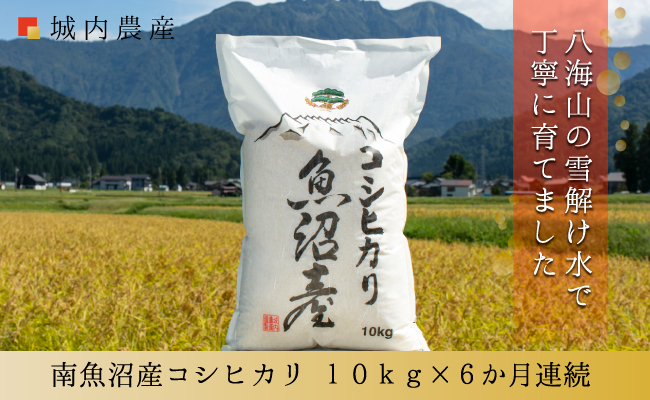 【令和6年産新米予約】【お米定期便/全６回】南魚沼産コシヒカリ　白米１０ｋｇ＜５割減農薬栽培米＞　城内農産