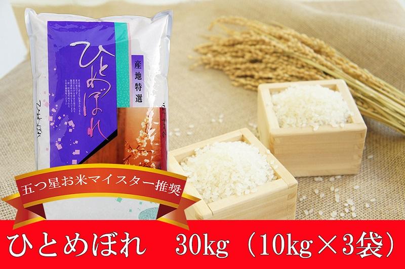 海外並行輸入正規品 一等米 定期便 10kg×4ヶ月 計40kg 3人に1人がリピーター ＼東北有数のお米の産地 岩手県奥州市産ひとめぼれ  岩手ふるさと米 ≪配送開始月が選べます≫ 頒布会 U0151 www.pamelamorsi.com