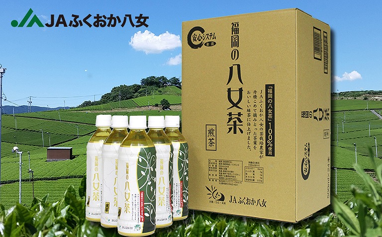 日本茶 ギフト 15 JAふくおか八女 お礼の品 セット 八女煎茶 手土産 最大15%OFFクーポン セット