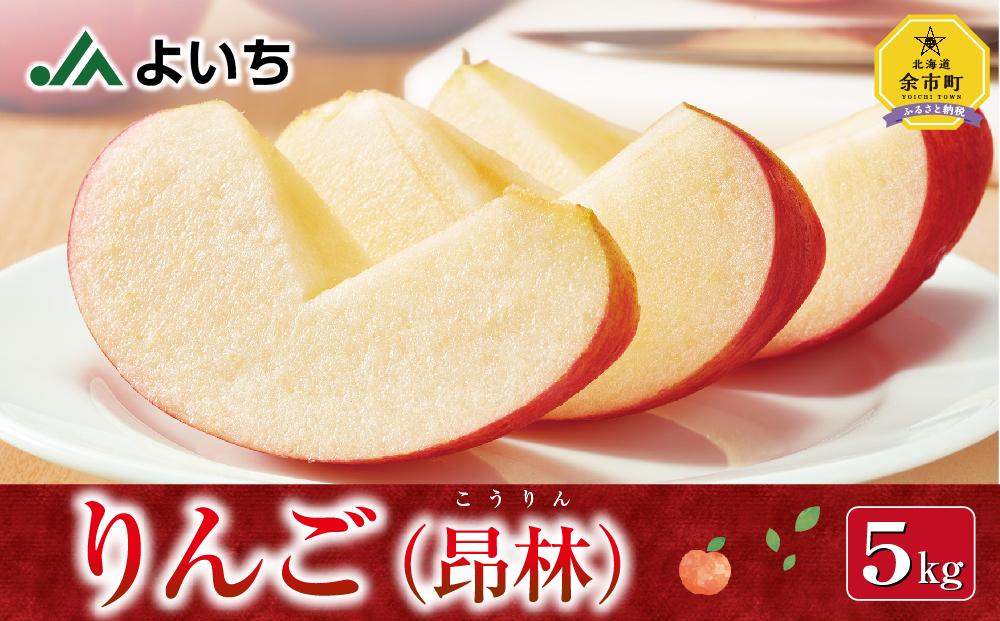 【2022年10月下旬発送分先行販売】りんご 昂林 5kg 北海道産