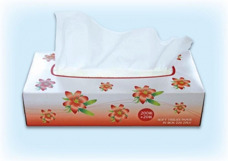 クラリスボックスティッシュ60箱(5個入り×12セット）(1箱220組