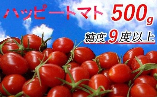 kw001　ハッピートマト５００ｇ【室戸海洋深層水ブランドマーク取得】