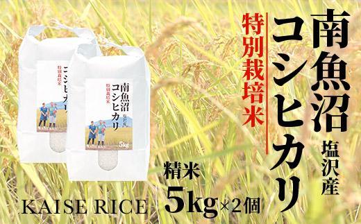 南魚沼産塩沢コシヒカリ【従来品種】（特別栽培米８割減農薬）精米５ｋｇ×２個