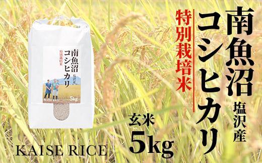 南魚沼産塩沢コシヒカリ【従来品種】（特別栽培米８割減農薬）玄米５ｋｇ