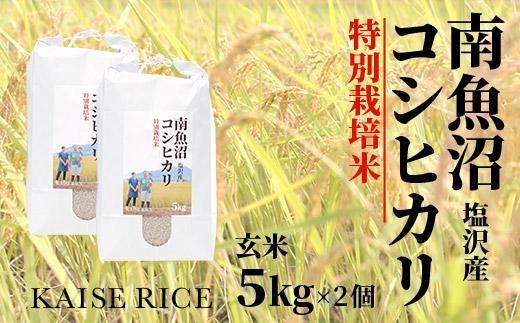 南魚沼産塩沢コシヒカリ【従来品種】（特別栽培米８割減農薬）玄米５ｋｇ×２個