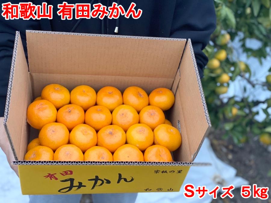 【秀品・サイズＳ】まる隆果樹園　和歌山有田産！早生みかん≪5ｋｇ≫【予約販売】【数量限定】