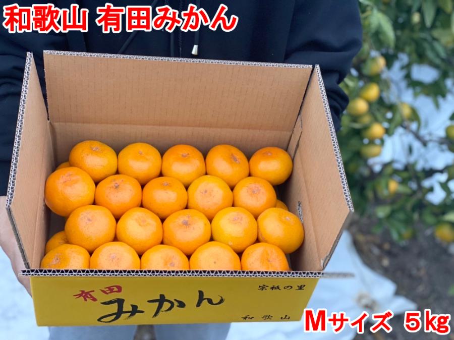 【秀品・サイズＭ】まる隆果樹園　和歌山有田産！早生みかん≪5ｋｇ≫【予約販売】【数量限定】