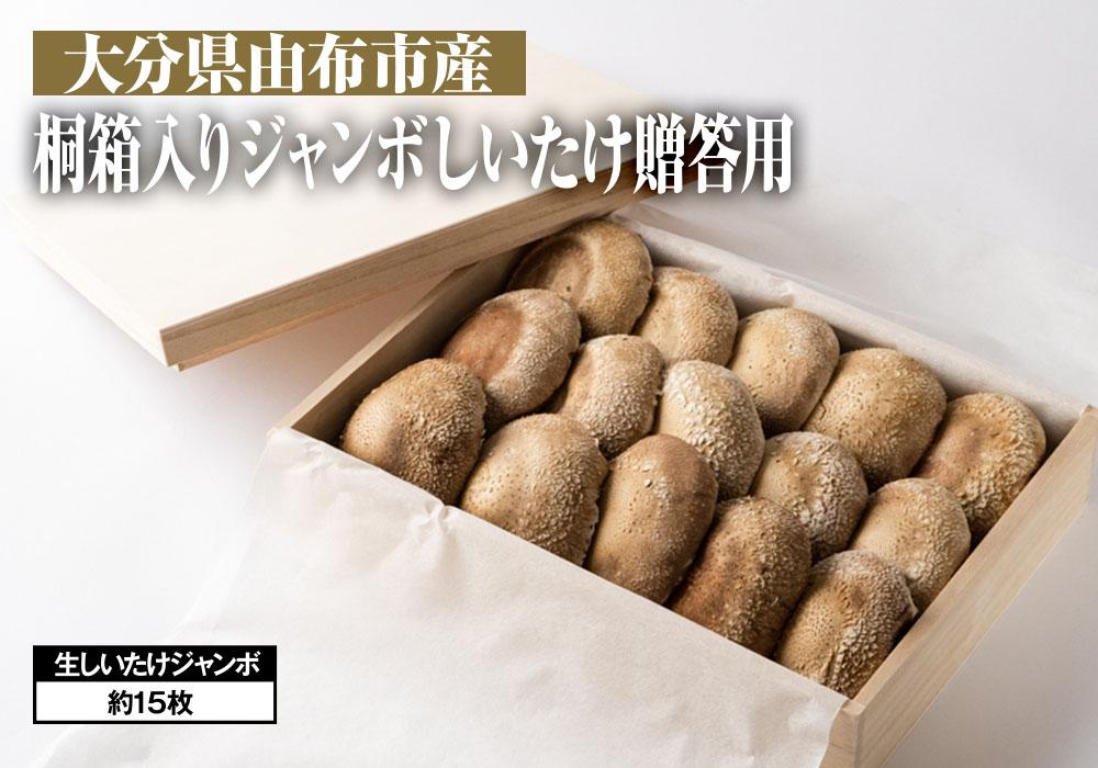 激安店舗 秋田県産 菌床しいたけ 出荷外大量3キロ シイタケ 食品