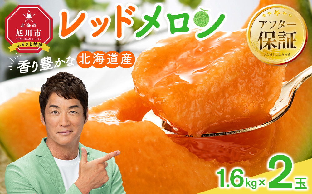 【26年発送先行予約】香り豊かな 北海道レッドメロン 1.6kg×2玉(2026年7月下旬から発送開始予定) 【 果物 くだもの フルーツ メロン 赤肉 赤肉メロン 旬 お取り寄せ 甘い 北海道産 旭川市 北海道 】_01381