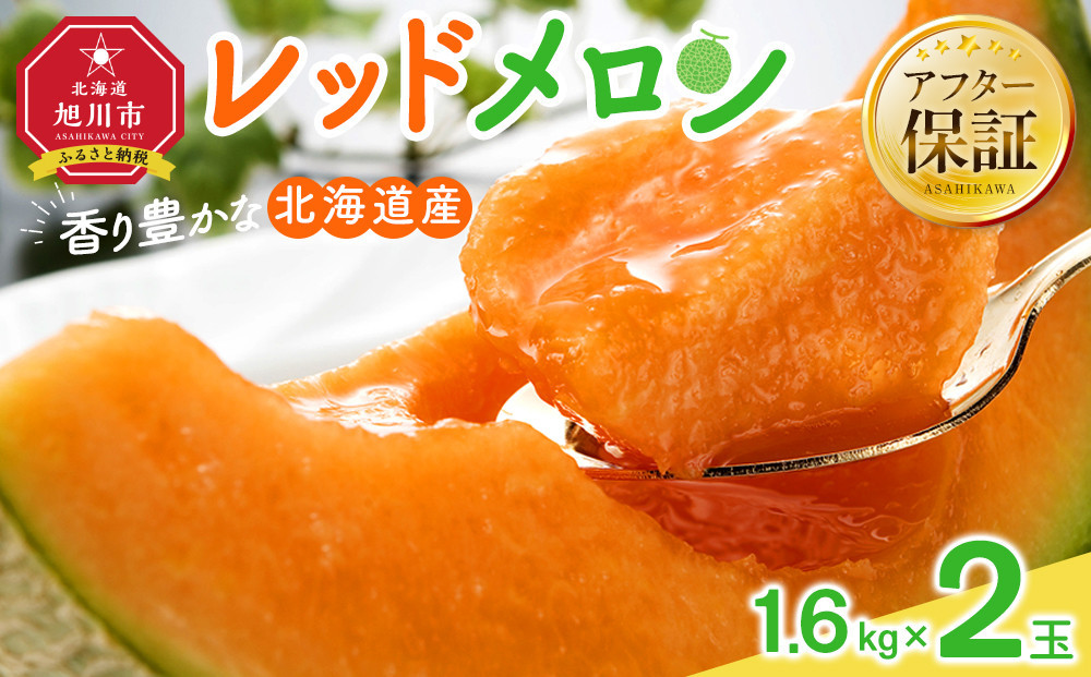 【26年発送先行予約】香り豊かな&nbsp;北海道レッドメロン&nbsp;1.6kg×2玉(2026年7月下旬から発送開始予定)&nbsp;【&nbsp;果物&nbsp;くだもの&nbsp;フルーツ&nbsp;メロン&nbsp;赤肉&nbsp;赤肉メロン&nbsp;旬&nbsp;お取り寄せ&nbsp;甘い&nbsp;北海道産&nbsp;旭川市&nbsp;北海道&nbsp;】_01381