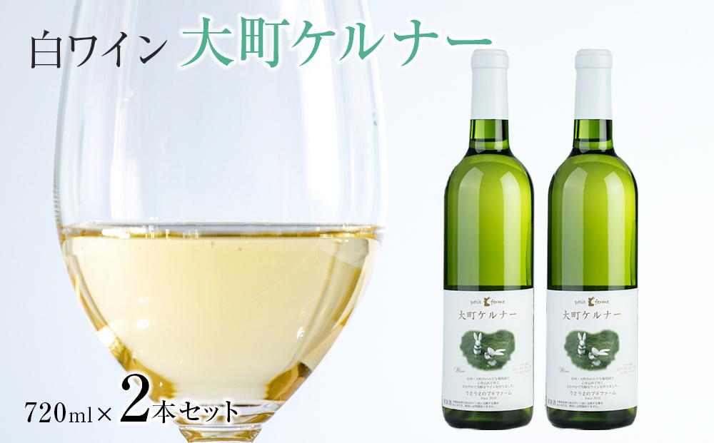 酒&nbsp;ワイン&nbsp;白ワイン&nbsp;セット&nbsp;２本&nbsp;×&nbsp;720ml&nbsp;長野県産｜ワイン&nbsp;国産ワイン&nbsp;人気&nbsp;おすすめ&nbsp;酒&nbsp;&nbsp;ギフト&nbsp;プレゼント&nbsp;送料無料&nbsp;長野県&nbsp;大町市&nbsp;ふるさと納税