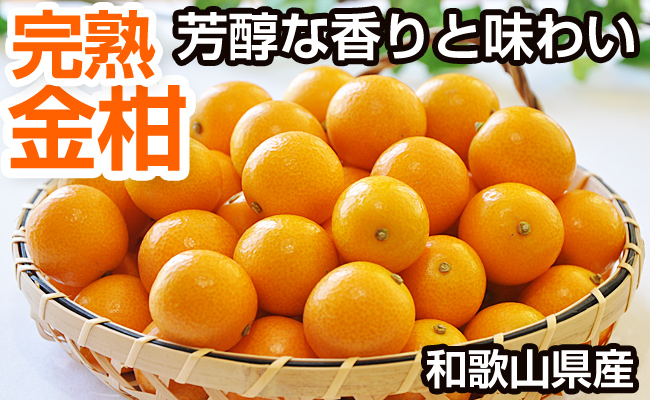完熟 金柑（きんかん）2kg（和歌山県産）