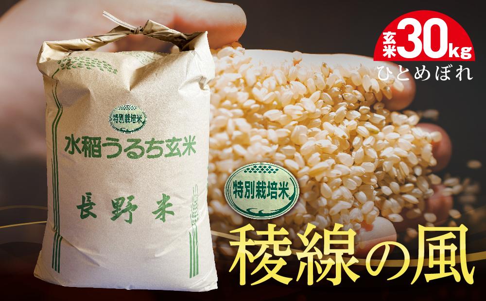 特別栽培米　稜線の風（ひとめぼれ）玄米 30kg　【2025年9月下旬頃～順次発送予定】｜米  国産米 長野県産 人気 おすすめ お米 減農薬 新米 ごはん 和食 健康 送料無料 長野県 大町市 ふるさと納税
