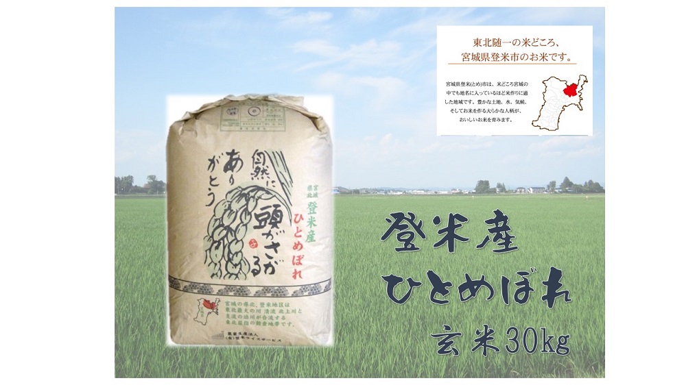 【令和5年産】米 玄米 ひとめぼれ 宮城県 登米市産 30kg