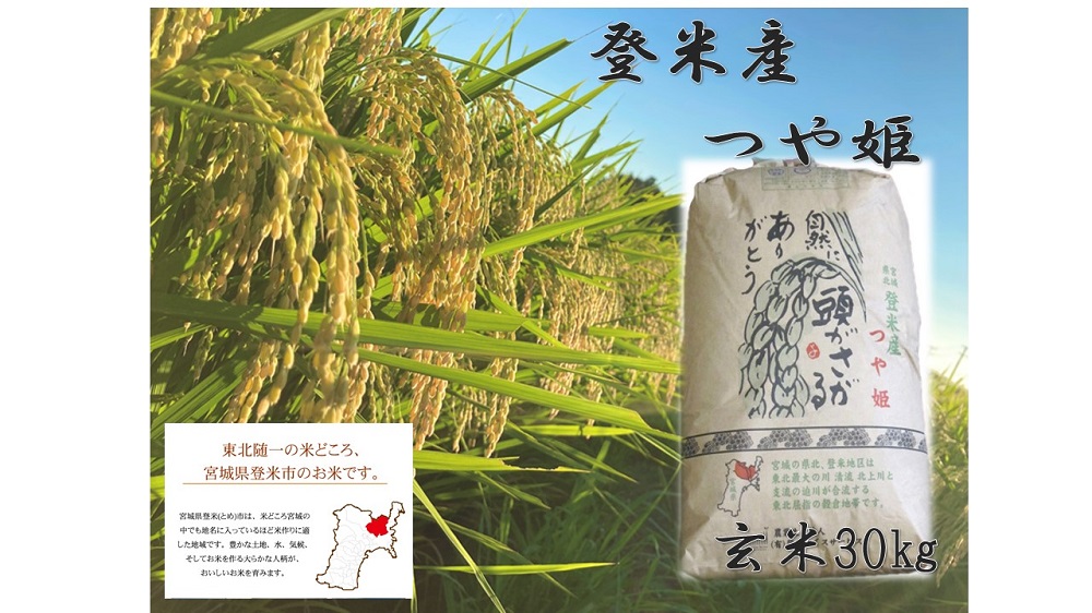 【令和5年産】米 玄米 つや姫 宮城県 登米市産 30kg