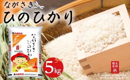 【AA036】長崎県産米 令和5年産 ながさきひのひかり 5kg【ポイント交換専用】