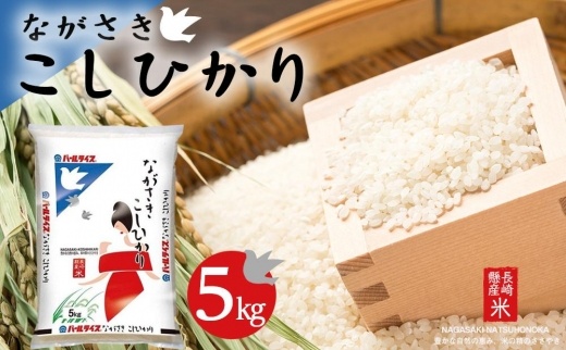 【AA040】長崎県産米 令和5年産 ながさきこしひかり 5kg【ポイント交換専用】