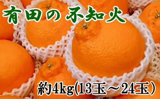 【濃厚】有田の不知火約4kg（13～24玉）★2024年2月上旬頃より順次発送【TM32】