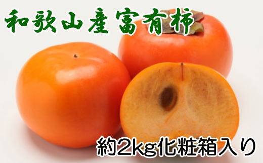 ［厳選・産直］和歌山産の富有柿約2kg（化粧箱入り）（2L～4Lサイズ）★2024年11月頃より順次発送【TM59】