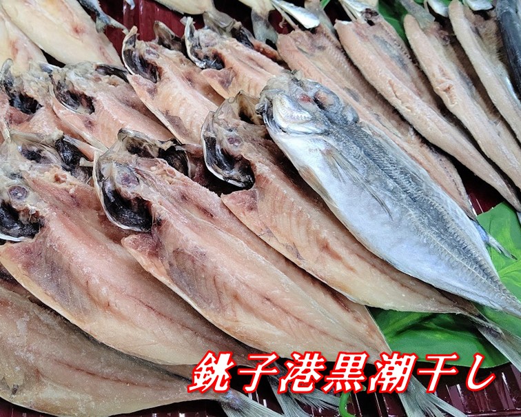 銚子港黒潮干し 訳あり干物大漁詰めセット50枚 Jtbのふるさと納税サイト ふるぽ
