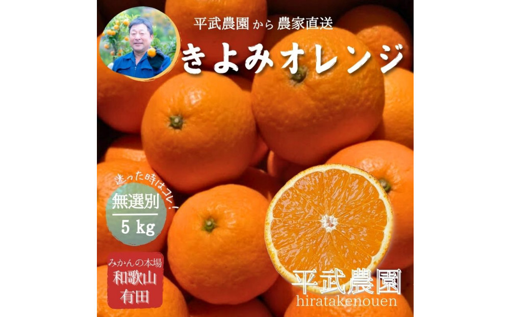 農家直送！きよみオレンジ&nbsp;5kg&nbsp;無選別≪秀品・訳あり品・サイズ混合≫［平武農園］～蛍飛ぶ町から旬の便り～［2026年3月下旬から順次発送予定］