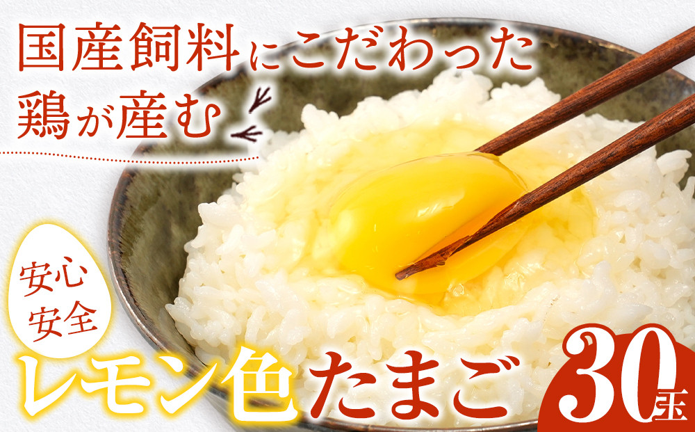 国産飼料にこだわった鶏が産む安全安心の『レモン色たまご』30玉（25玉＋割れ保証5玉）［Hn1］
