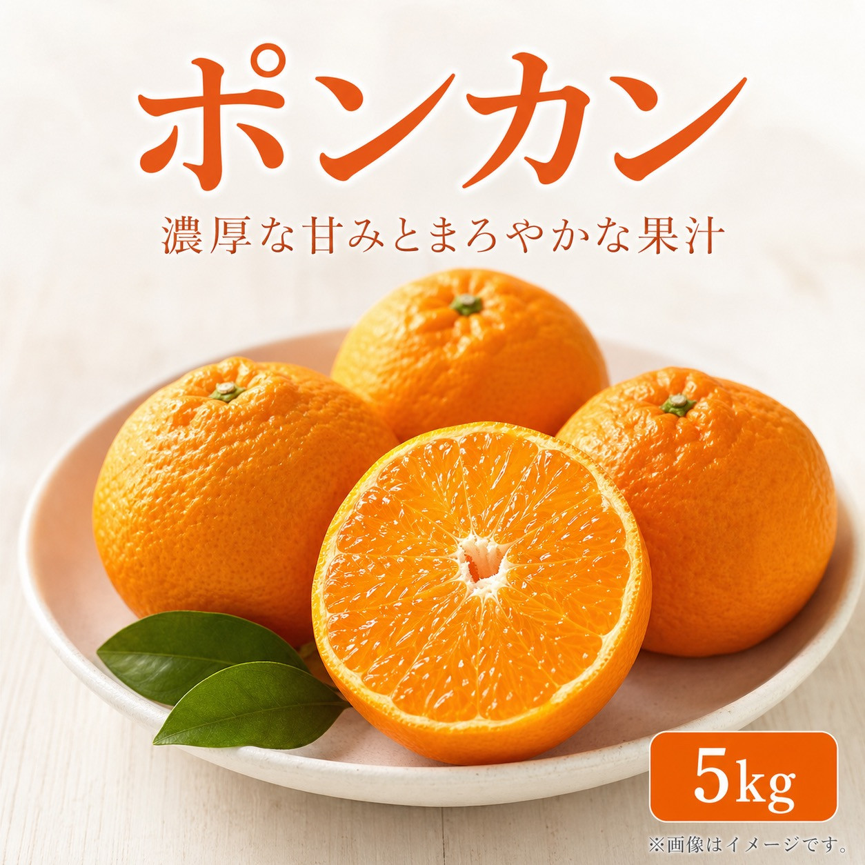 紀州和歌山有田産ポンカン　５ｋｇ［2027年2月上旬頃から2027年2月下旬頃に順次発送］［UT20］