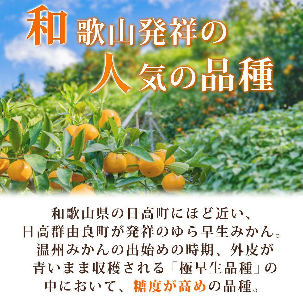 紀州和歌山有田産ゆら早生みかん 5kg［2026年発送］［UT34］ | JTBの