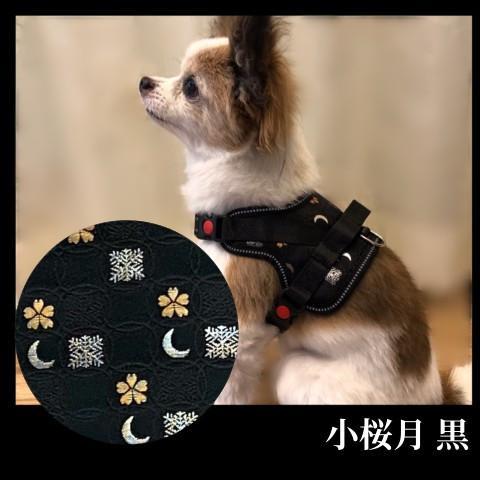 【柴犬コウタのハッピィショップ】小型犬用 京都西陣金襴織 ハーネス 華～HANA～ （小桜月 黒）