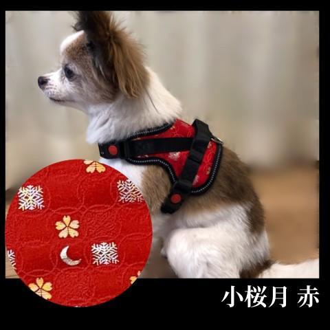 【柴犬コウタのハッピィショップ】小型犬用 京都西陣金襴織 ハーネス 華～HANA～ （小桜月 赤）