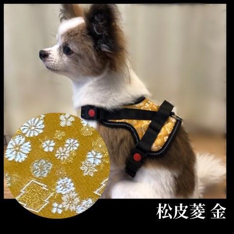 【柴犬コウタのハッピィショップ】小型犬用 京都西陣金襴織 ハーネス 華～HANA～ （松皮菱 金）