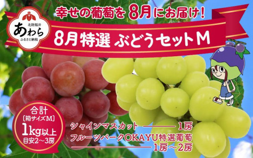 【先行予約】8月特選 ぶどうセットM　1kg以上（2～3房）／ 葡萄 シャインマスカット シャイン 品種 おまかせ あわら 農家おすすめ ※2025年8月より順次発送