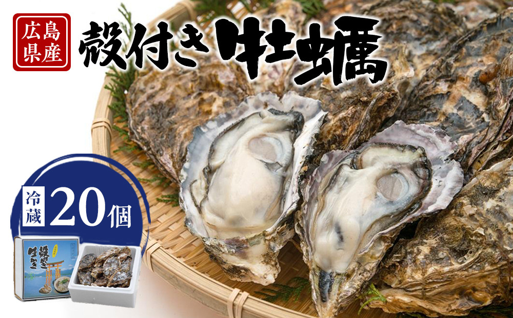 島田水産　Shimada　Oyster　殻付き牡蠣20個(加熱用）【広島かき&nbsp;広島牡蠣&nbsp;牡蠣&nbsp;新鮮&nbsp;旬&nbsp;おすすめ&nbsp;人気&nbsp;広島県&nbsp;宮島&nbsp;廿日市市】
