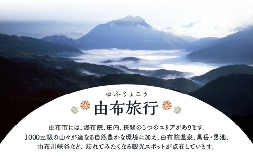 由布市（湯布院、由布院、湯平、塚原高原）】ふるさと納税宿泊補助券