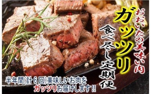 おおいたの美味い肉!ガッツリ食べ尽し4月から1年間定期便 / 2ヶ月毎計6回発送