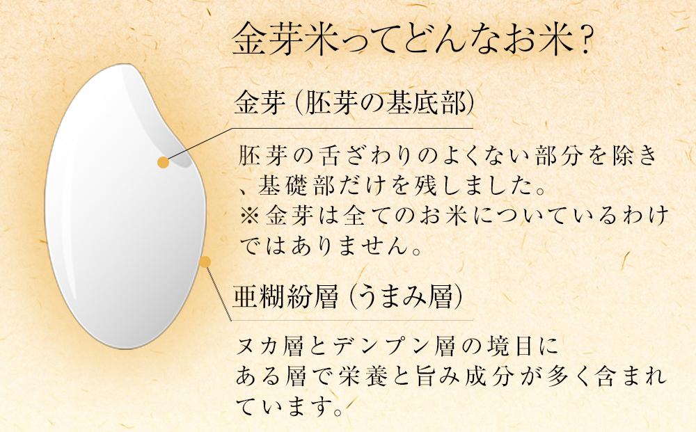 金芽米ハイセレクト9kg（ 4.5kg × 2 ）【 BG無洗米 無洗米 東洋
