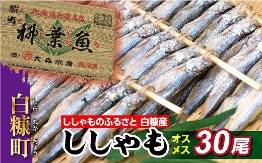 ししゃものふるさと　しらぬか産ししゃも【オスメス30尾】（20,000円）