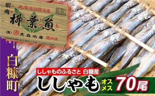 ししゃものふるさと　しらぬか産ししゃも【オスメス70尾】（40,000円）