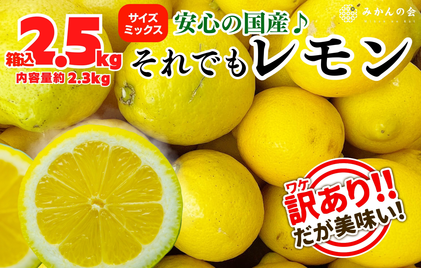 訳あり レモン B品  箱込2.5kg(内容量約2.3kg) 和歌山県有田産（サイズミックス）【みかんの会】