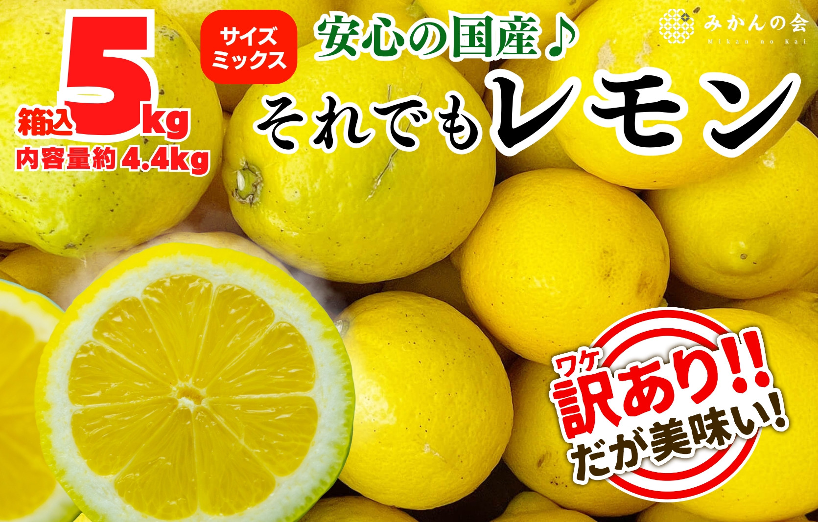 訳あり レモン B品  箱込5kg(内容量約4.4kg) 和歌山県有田産（サイズミックス）【みかんの会】